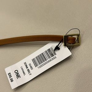 Aritzia Sunday Best Zona leather belt
